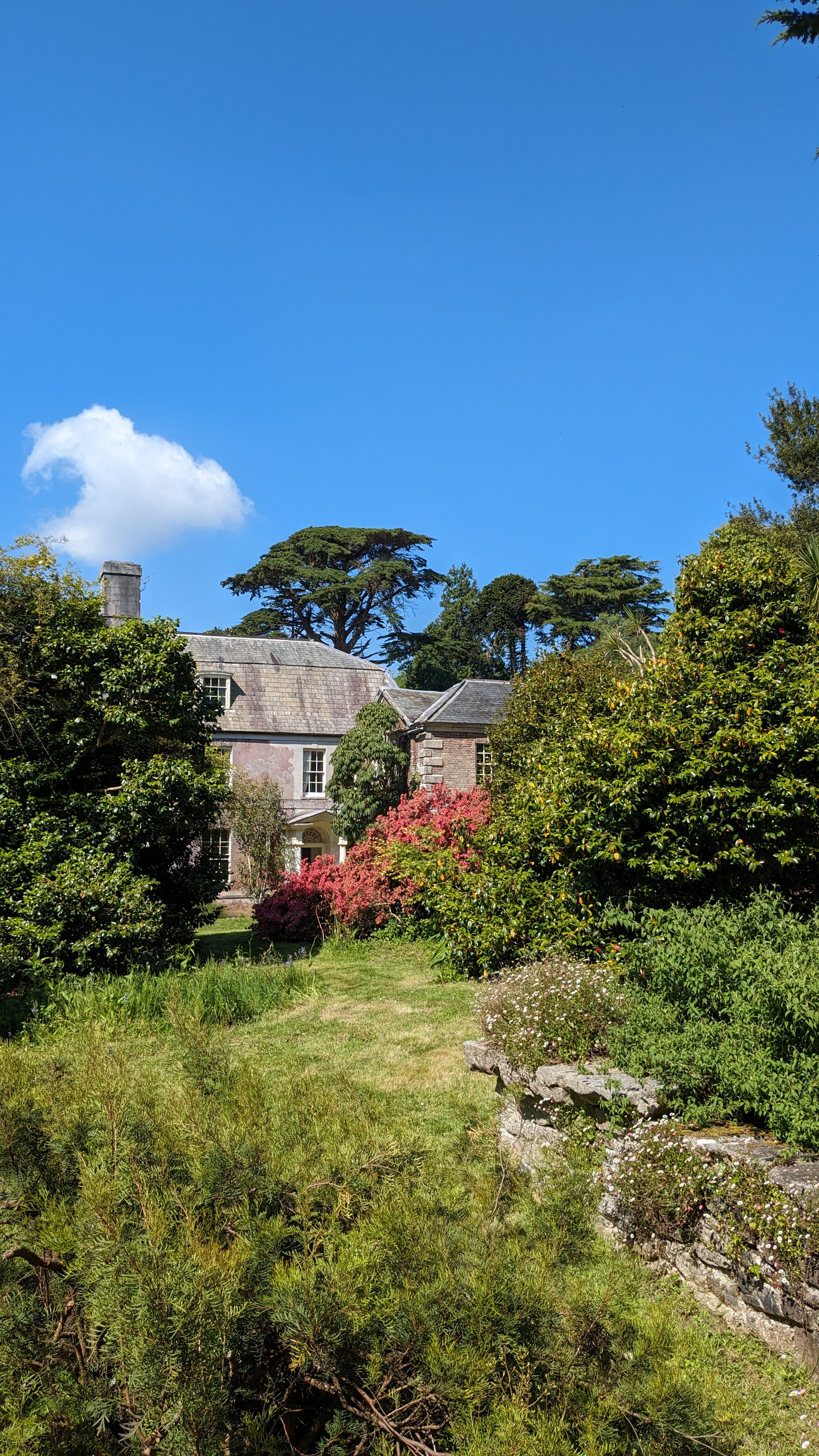 Tregrehan Gardens
