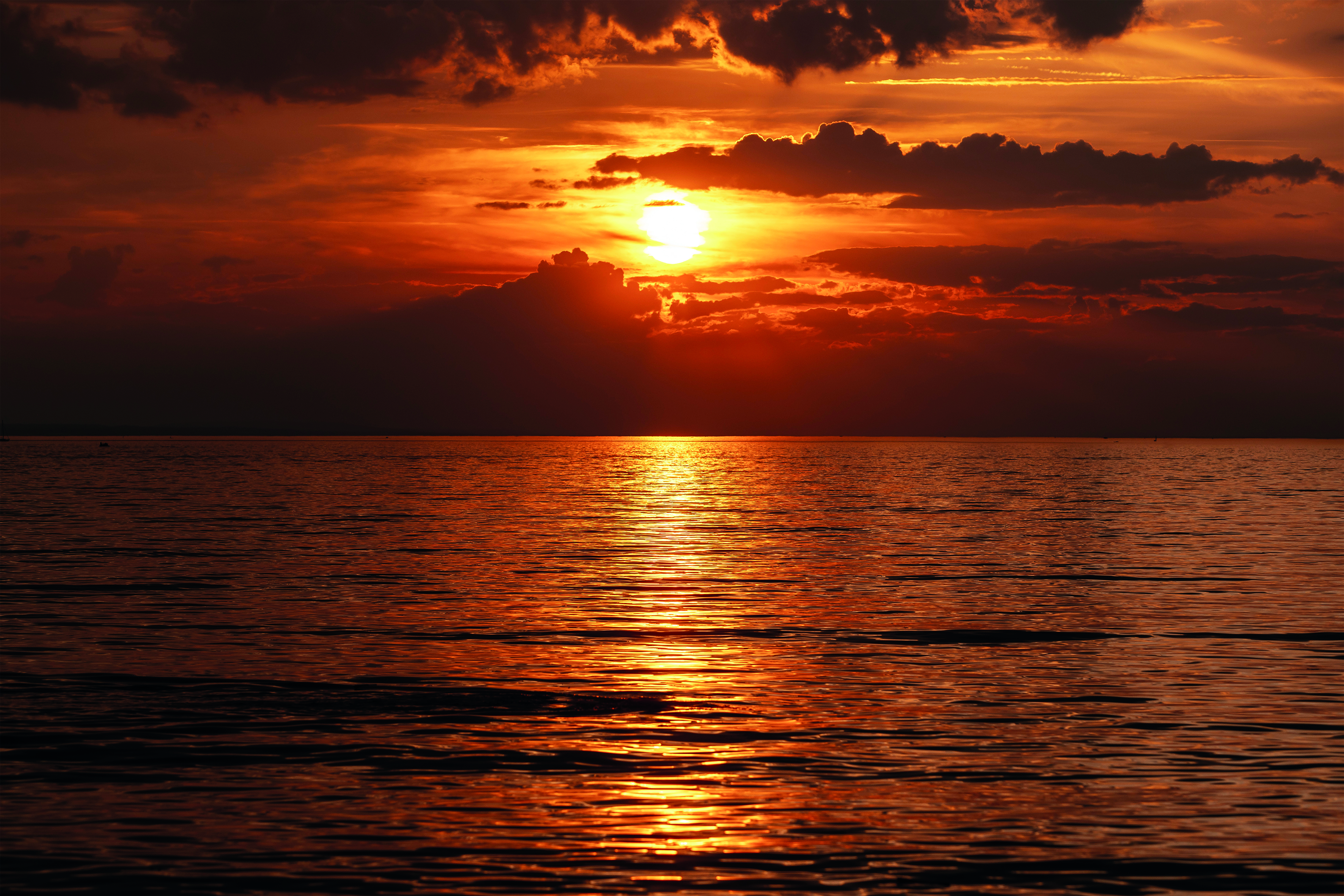 Musik & Gärten am Bodensee